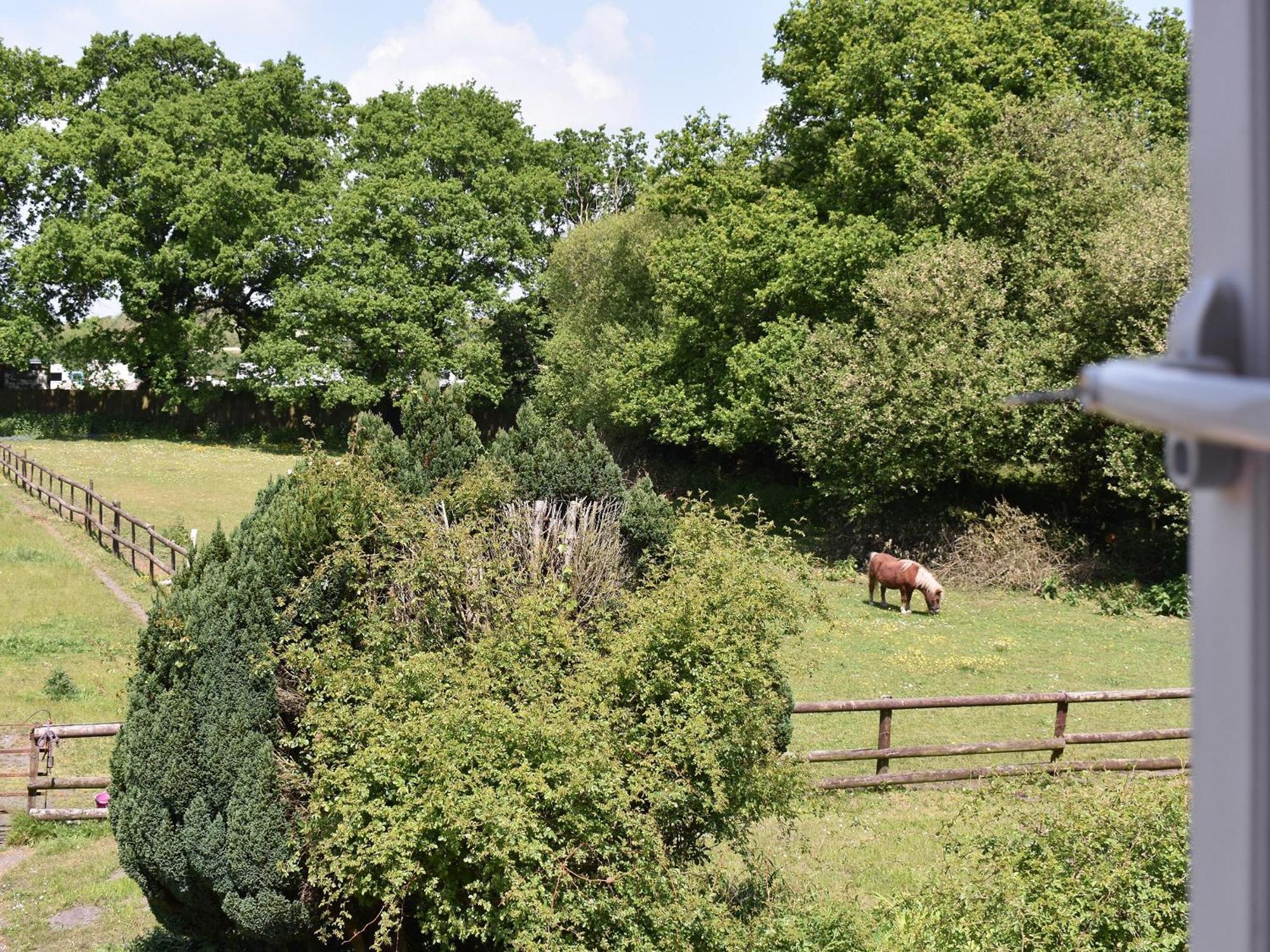 Oakdene Lodge Saint Leonards Zewnętrze zdjęcie